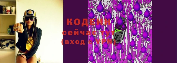 прущий лед Абаза