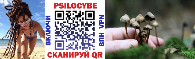 Галлюциногенные грибы Cubensis  Лосино-Петровский 